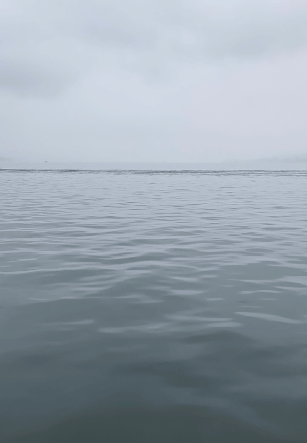 Brigitte Salzmann - slant line and my unseen city