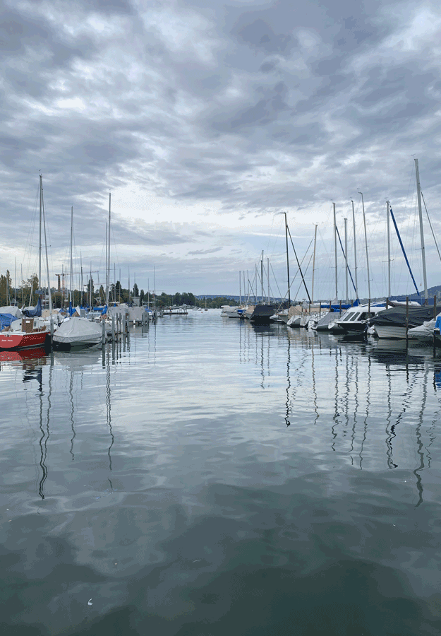 Brigitte Salzmann - lines of wind, water and light