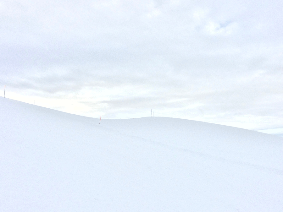Brigitte Salzmann - slope line