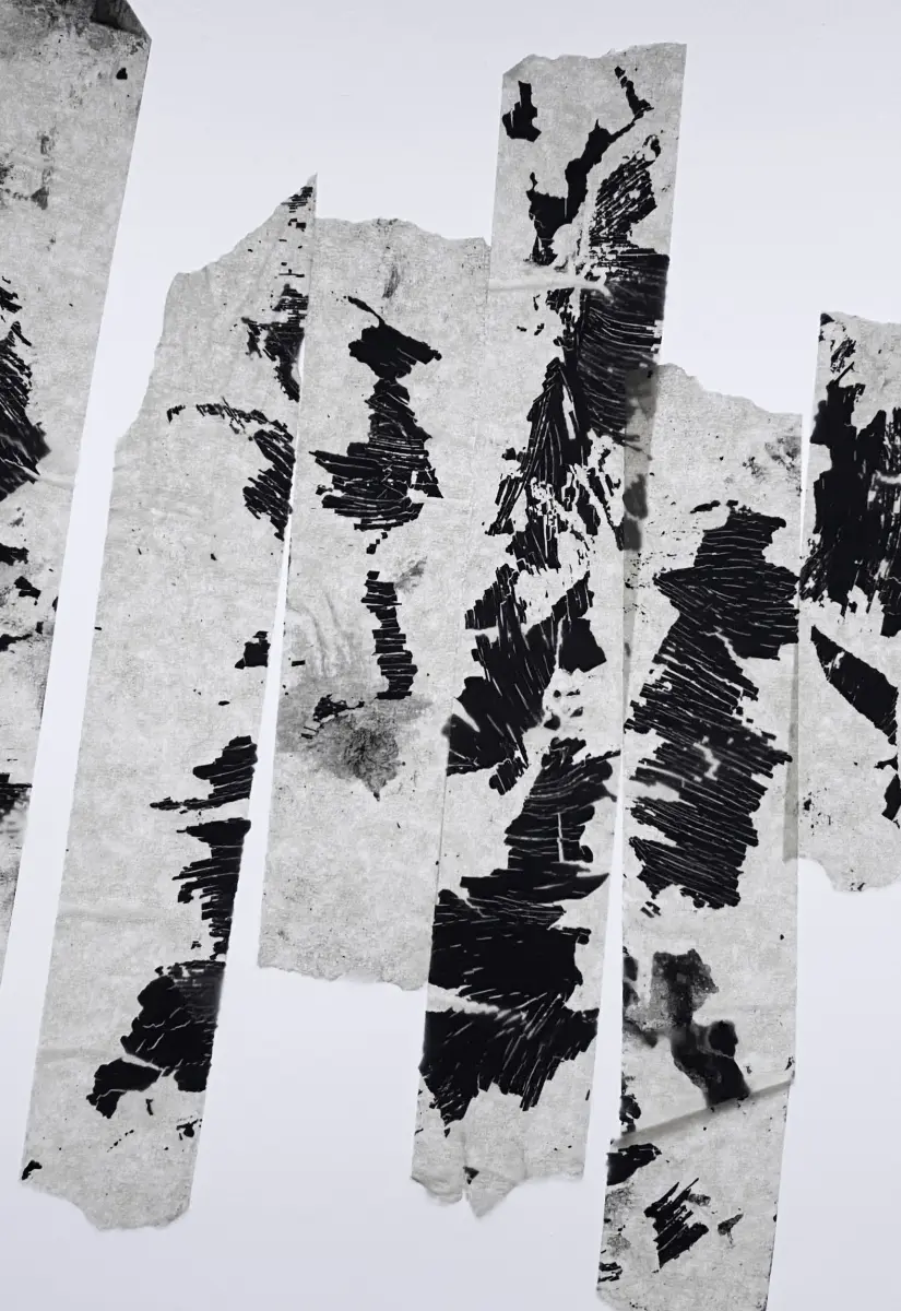 Brigitte Salzmann - dainty leap, 2011