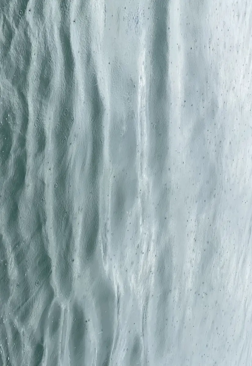 Brigitte Salzmann - none cucumber seeds