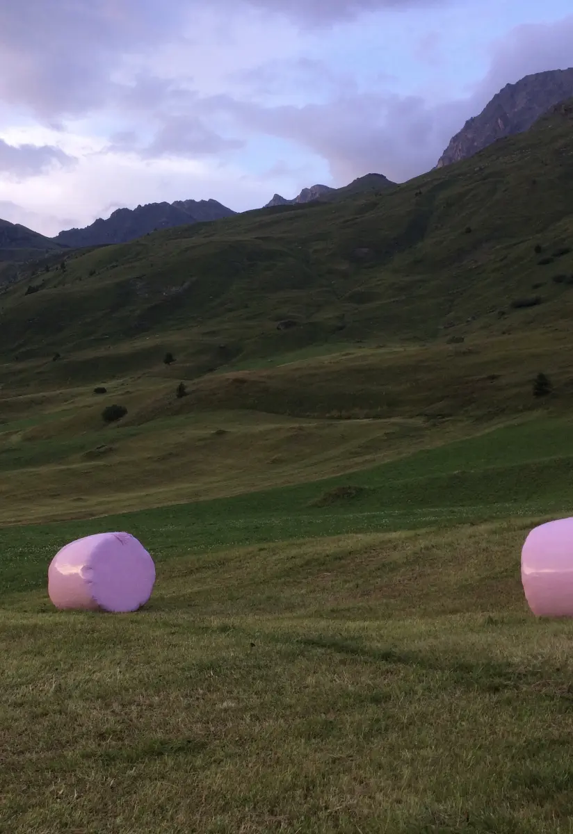 Brigitte Salzmann - marshmallows, 2016