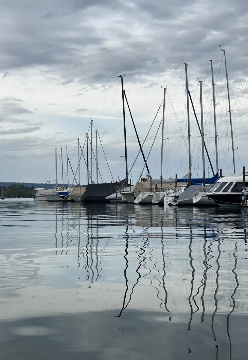 Brigitte Salzmann - lines of wind water and light, 2021