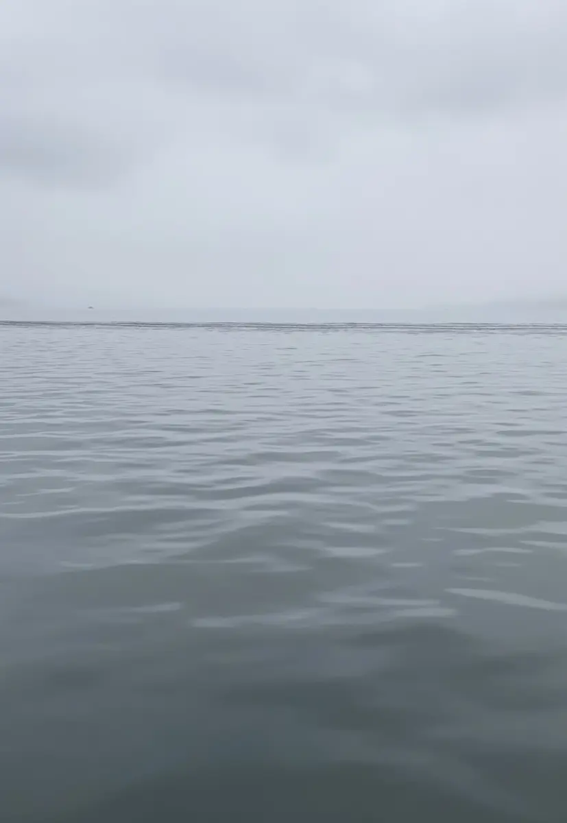 Brigitte Salzmann - slant line and my unseen city, 2021