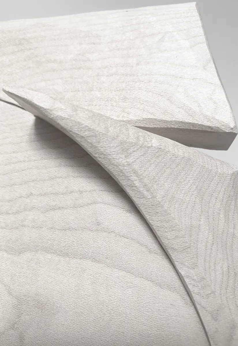 Brigitte Salzmann - maple, 2021