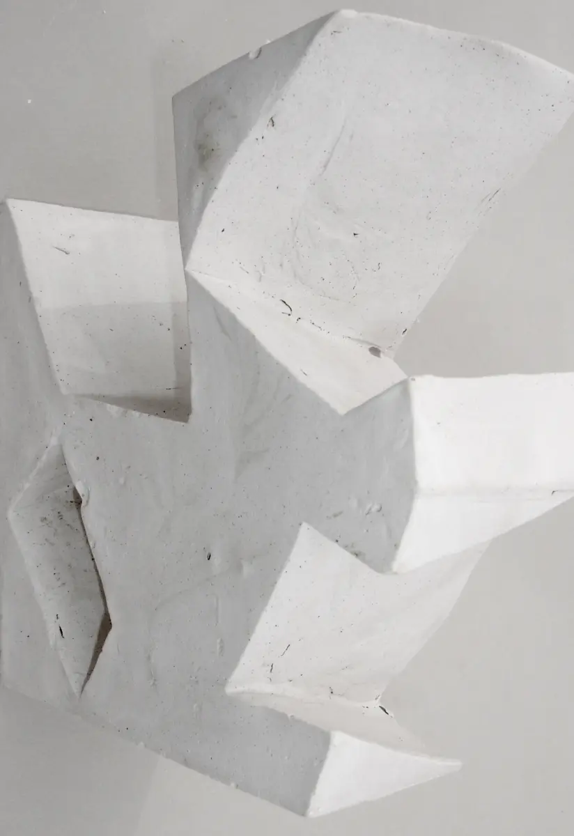 Brigitte Salzmann - should I or should I not, 2006