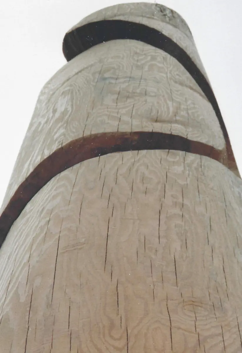 Brigitte Salzmann - Asklepios 2000