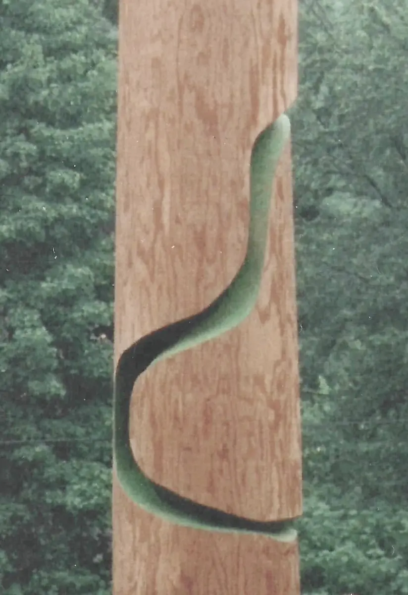 Brigitte Salzmann - Asklepios 2000