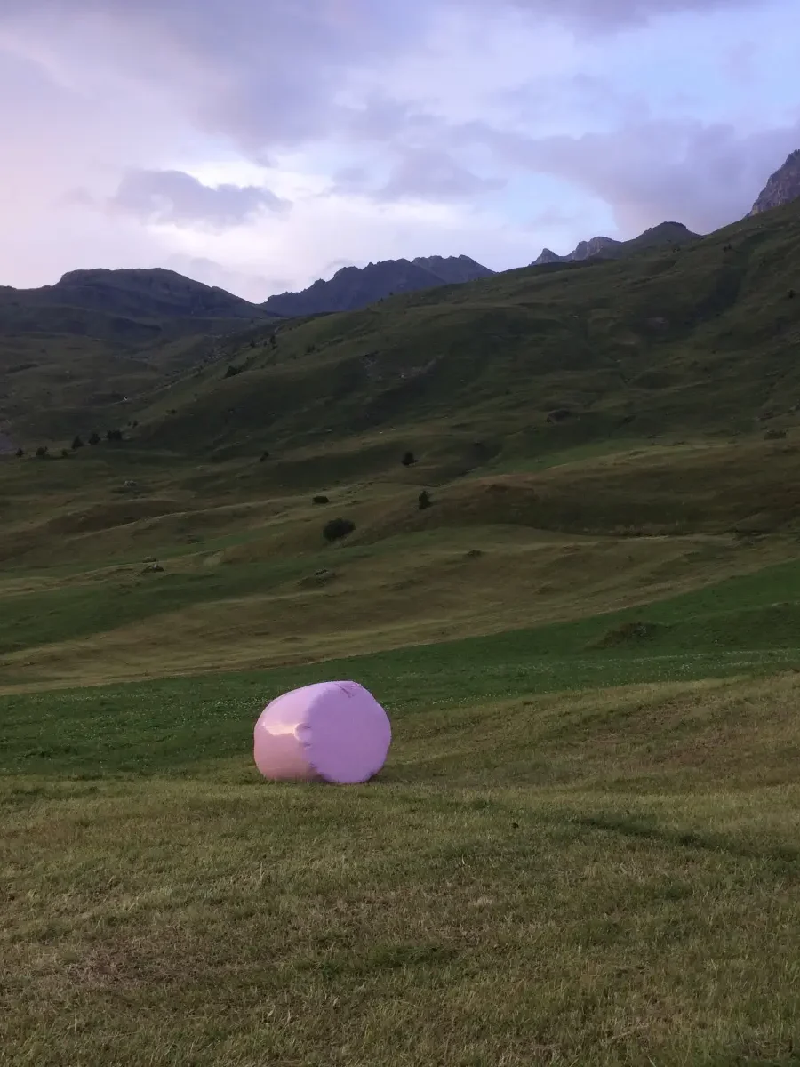 Brigitte Salzmann - marshmallow, 2018