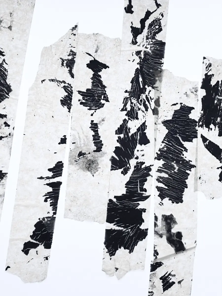 Brigitte Salzmann - dainty leap 2011, scryl, klebeband, papier,